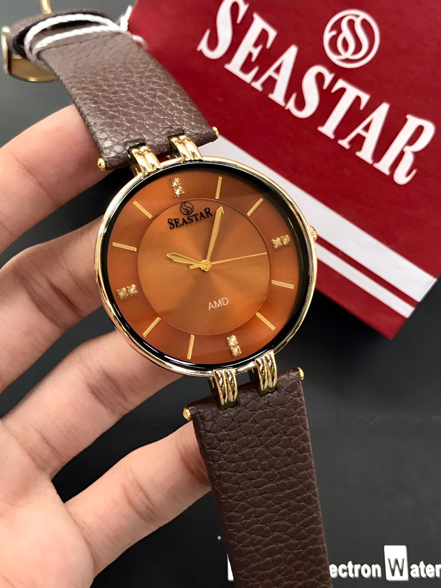 Seastar Men's Watch
